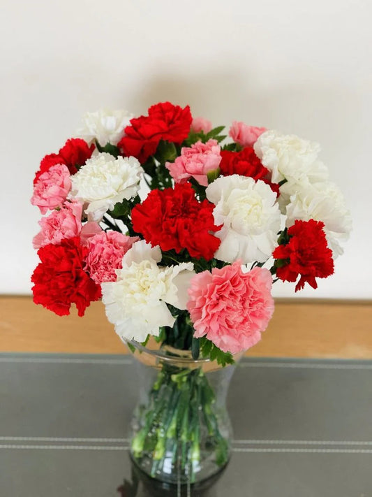 Charming Carnations - Next Day