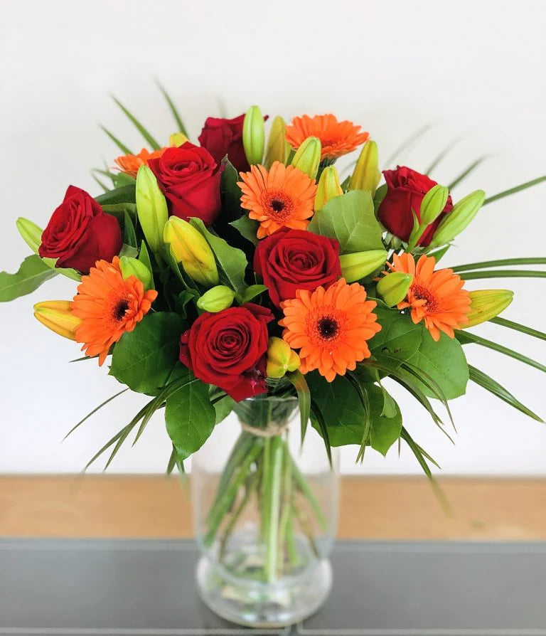 Starburst - Next Day
