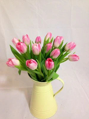 Spring Tulips - Next Day